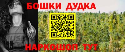 гашик Нальчик