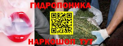метадон Можга