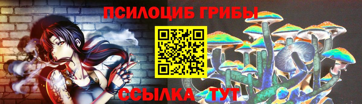 Псилоцибиновые грибы MAGIC MUSHROOMS  Галлюциногенные грибы прущие грибы  Свободный  Вход с VPN 